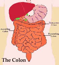 phoenix colonics
